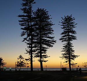 manly beach